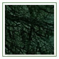 forest_green