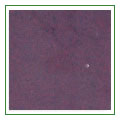 coffeebrown