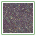seaweedgreen