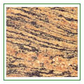 tigerskin_01