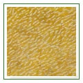 indus_gold_bush_hammer