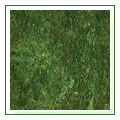 plain_green